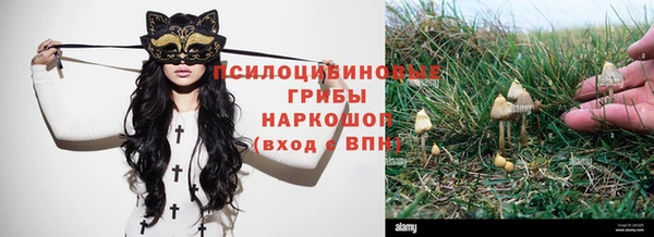 прущая мука Беломорск