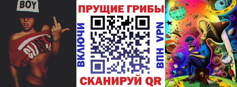 Галлюциногенные грибы MAGIC MUSHROOMS  дарнет шоп  Белгород 